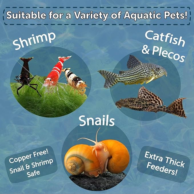 Aquatic Foods Inc. Spirulina Enriched Calcium Feeders for Shrimp, Snails, Crabs, Crayfish, Pleco, Catfish, All Tropical Fish…50 Count Bag