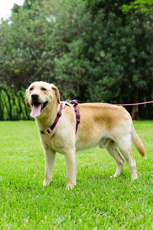 3 in 1 No Pull Dog Harness Leash and Collar Set, Soft Adjustable Dogs Vest Reflective and Comfortable Handle Pink X-Large