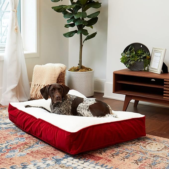 South Pine Porch Buddy Reversible Rectangle Pillow Style Microfiber and Sherpa Dog Bed with Removable, Machine-Washable Cover, Crimson Sherpa, Medium (42 in. x 30 in.)