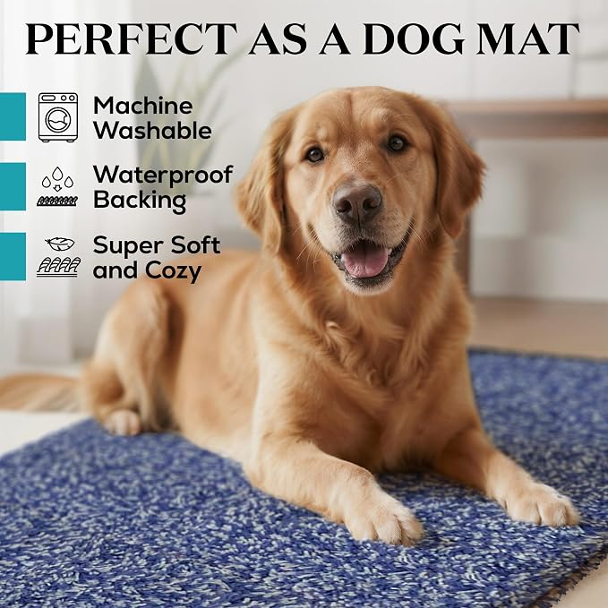Premium Microfiber Indoor Door Mat – 36"x60" Washable Entry Mat, Waterproof