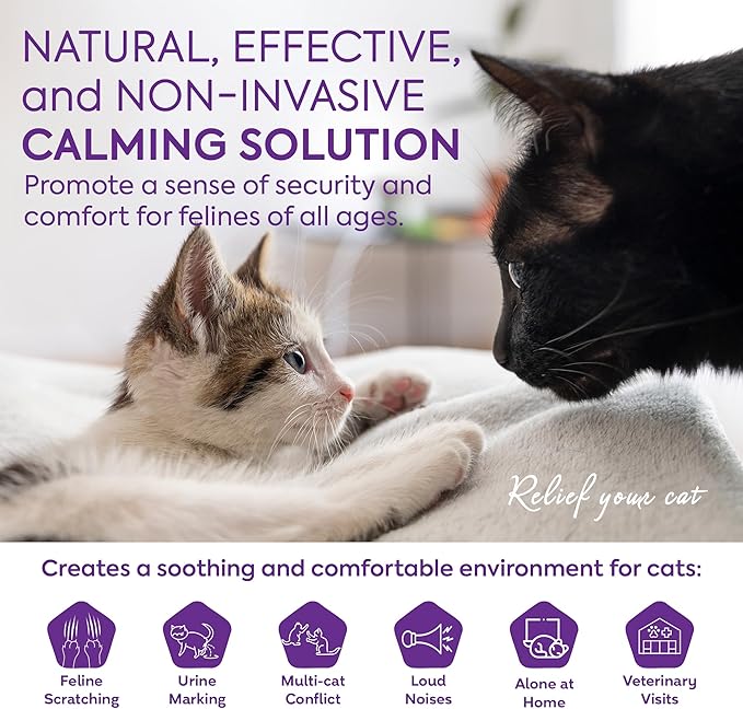 Cat Pheromones Calming Diffuser: Premium Pheromone Diffuser for Cats - Cat Pheromones Diffuser - Cat Calming Diffuser - Cat Calming Pheromone Diffuser, 2 Pack (Purple)