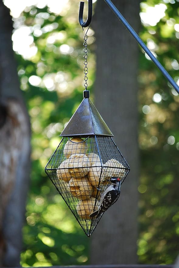 Wildlife Sciences Suet Balls 24 Pack, 6 Individually Wrapped Packs of 4 Bird Suet Balls (Hot Pepper Blend)