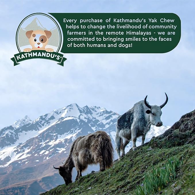 KATHMANDU'S Authentic Himalayan Yak Cheese Chews - All Natural and Protein-Rich Nutrition Dog Treats, Long Lasting Chews for Aggressive Chewers, Odor & Gluten Free Yak Chew | Jumbo (Pack of 5)