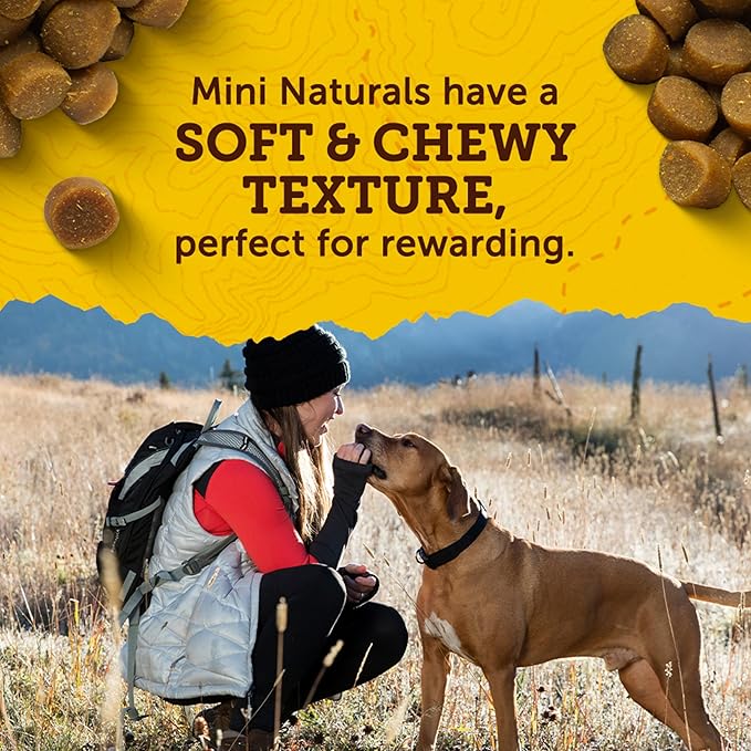 Zuke’s Mini Naturals Dog Training Treats for Dogs, Pet Treats made with Real Beef - 10 oz. Pouch