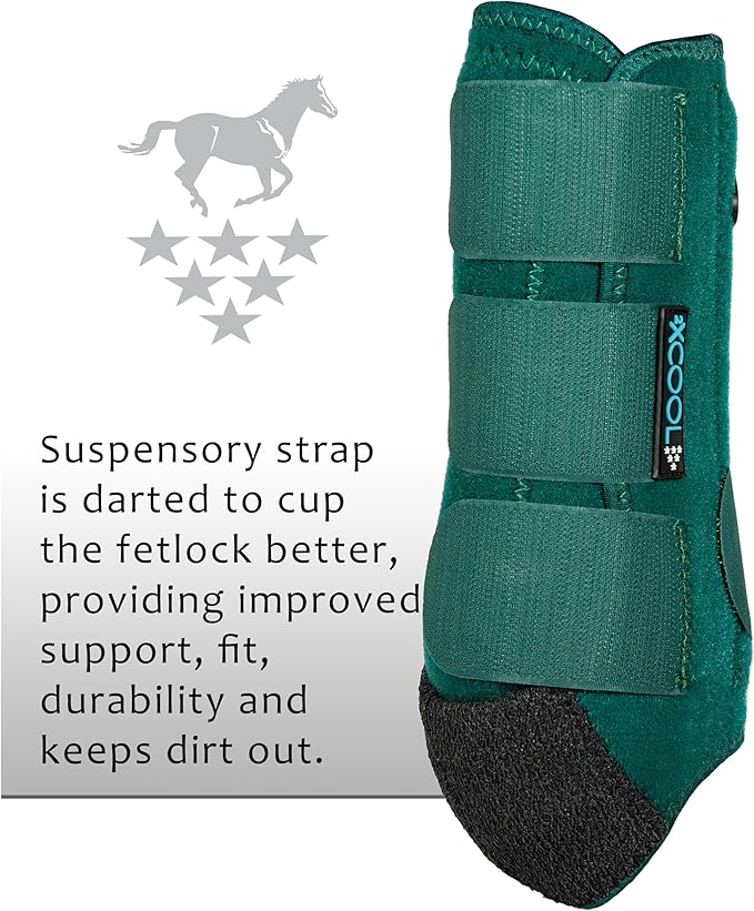 Professional's Choice 2XCOOL Sports Medicine Horse Boots | Protective & Breathable Design for Ultimate Comfort, Durability & Cooling in Active Horses | 2 Pack