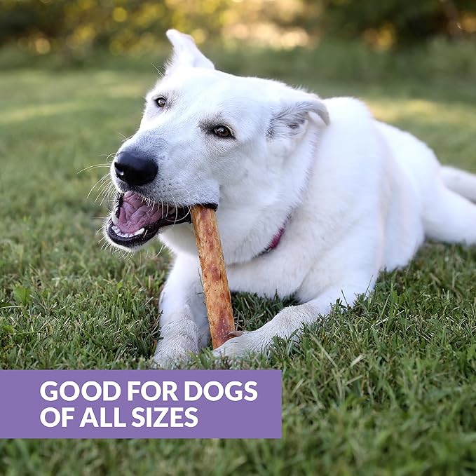 Wild Eats Collagen Chews - Stick Dog Treat for Medium & Large Dogs (10" 3ct, Real Duck) - Long Lasting, Rawhide Free, Low Fat, Grain Free Retriever Rolls