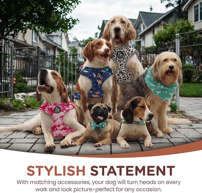 No Pull Harness and Leash Set - 6-in-1 Adjustable Vest Harness and Collars for Medium and Large Dogs. (Lemon, Large)