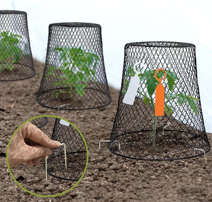 10 Pcs 9"×9" (Multiple Sizes/Quantities Available) Chicken Wire Plant Protectors from Animals, Plant Cage Garden Cloche to Protect Plants Vegetables from Rabbits Squirrels Chicken