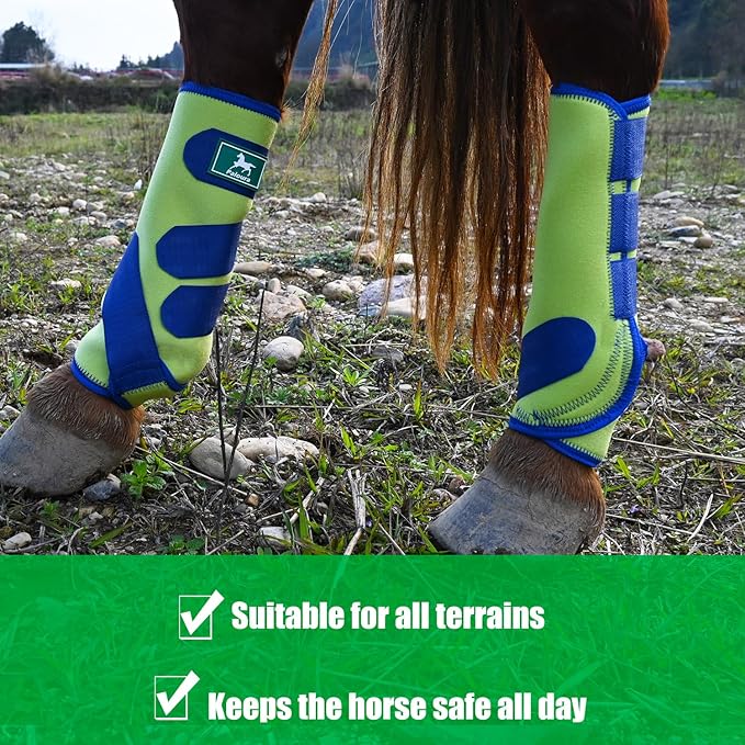 Equine Sport Horse Boots Set of 4 – Neoprene Leg Protection with Durable Hook & Loop Straps, Breathable & Comfortable Fit for Training, Riding, and Performance（Green, Large）