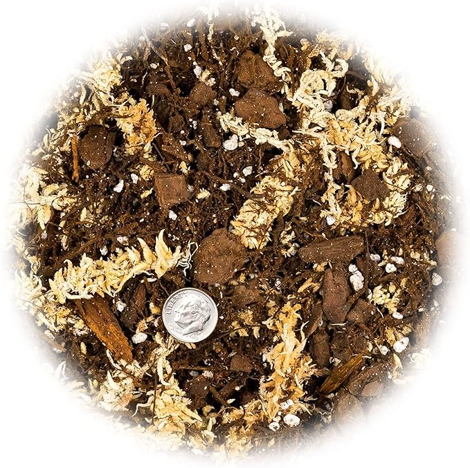 Gardenera Premium Orchid Mix by GARDENERA | Fern + New Zealand Pine Bark + Sphagnum Moss + Perlite | Best for Growing and Repotting Orchids - 3 Quart Bag
