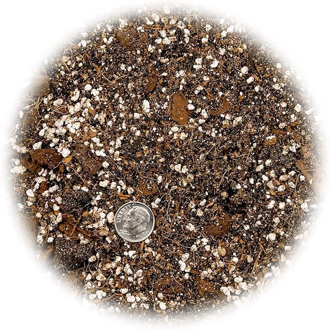 GARDENERA Premium Spider Plant Potting Soil Mix - (5 Quart Bag)