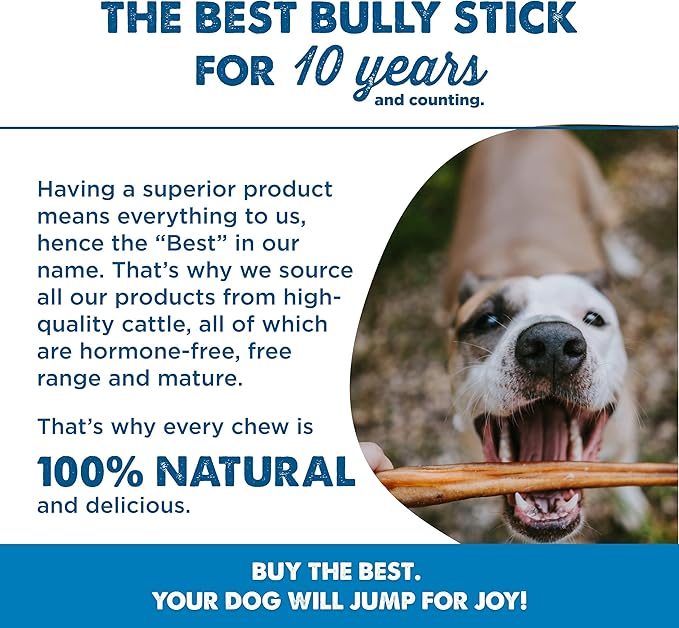 Best Bully Sticks 6 Inch Bully Sticks for Dogs - 5 Count (Pack of 1) - Natural, Easily Digestible, Grass-Fed Beef, Grain and Rawhide Free - Trial Size
