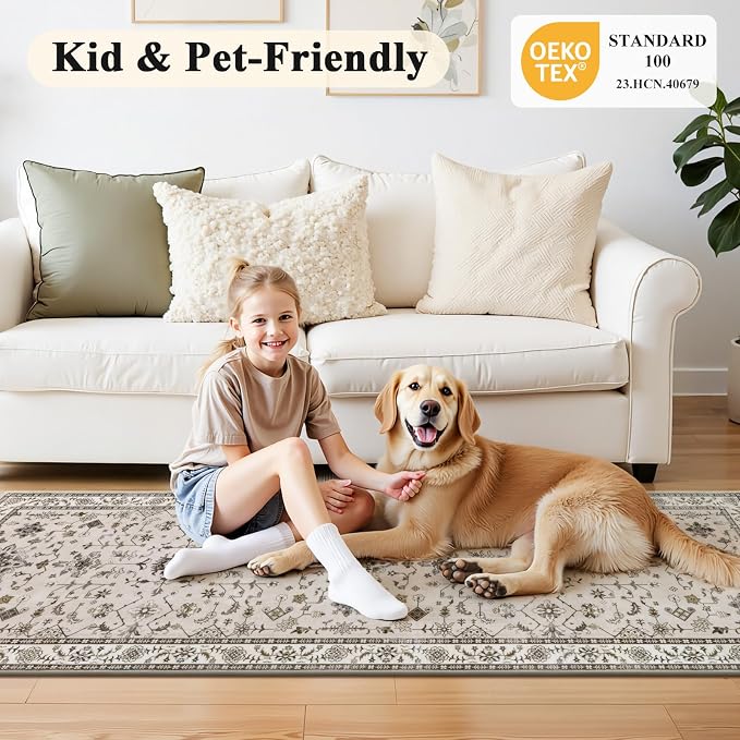 HEBE Washable Aera Rug 2'x 3' Non Slip Door Mat Indoor Entrance, Low Pile