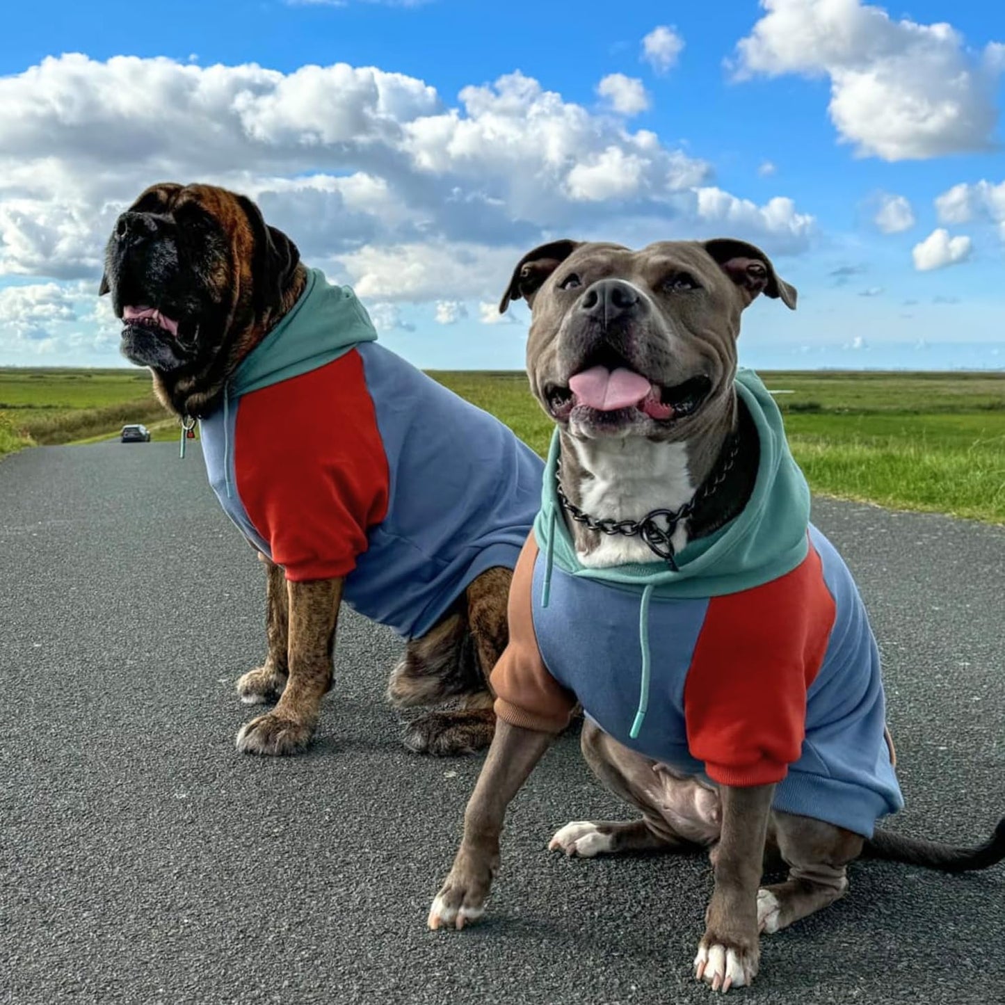 Spark Paws Dog Hoodie – Premium Dog Sweater for Small, Medium, and Large Dogs | Warm Outfits for French Bulldogs, Pitbull, Puppy, Winter Jacket Alternative - Alpine - M