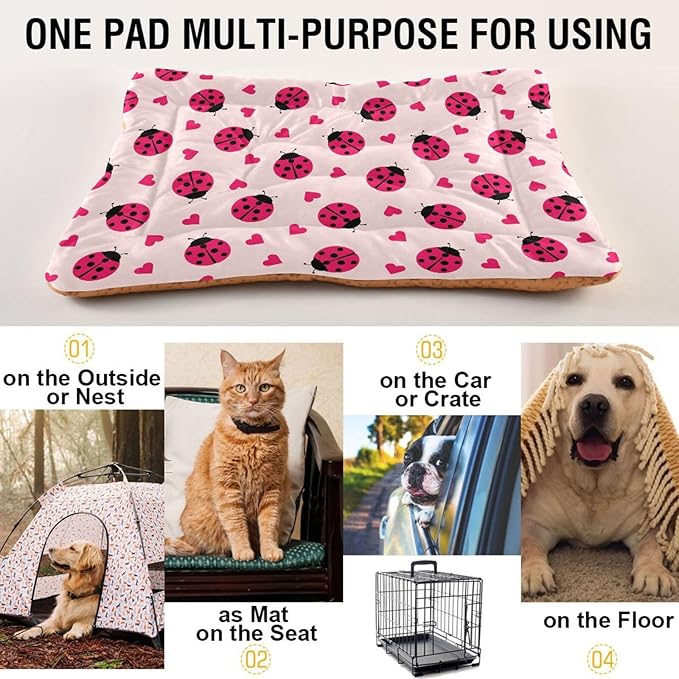 Pet Bed Ladybug Hearts Dog Bed Mat Absorbing Non Slip Pad Pet Sleeping Mat for Small, Medium, and Large Dogs Puppy Cat 36 in x 24 in