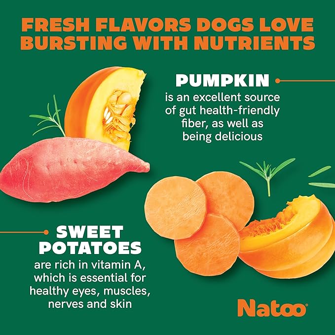 NATOO Biscuits for Small Dogs & Puppies Crunchy Dog Treats, Sweet Potato & Pumpkin Healthy Natural Canine Biscuits, Rich in Omega 6, Prebiotics & Fiber, Antioxidants for Immunity (8 oz)