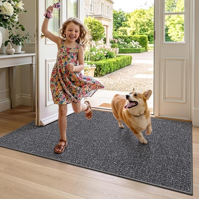 LUMI Ultra Thin Indoor Door Mat