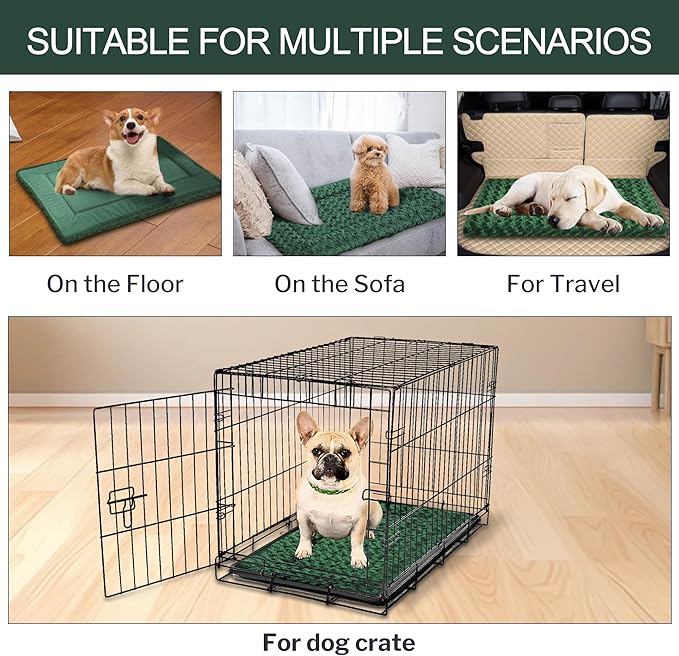 Washable Dog Bed Plush Orthopedic Outdoor Crate Mat with Non-Slip Bottom,Luxe Soft Kennel Pad for Pets,Cozy Cage Cushion & Pet Sleeping Mattress Large Sized,Medium,Small Dogs,36 x 24 inch,Green
