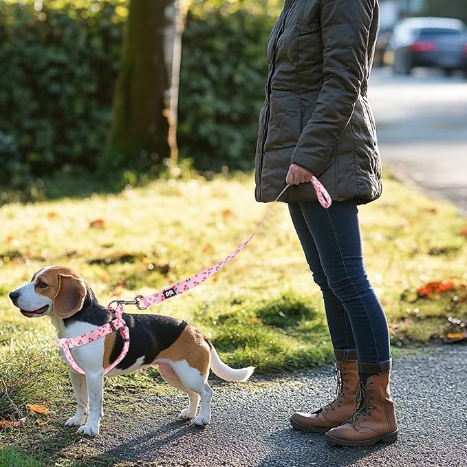 QQPETS Dog Harness Leash Set Adjustable Heavy Duty No Pull Halter Harnesses for Small Medium Large Breed Dogs Back Clip Anti-Twist Perfect for Walking (XS(12"-18" Chest Girth), Sakura Pink)