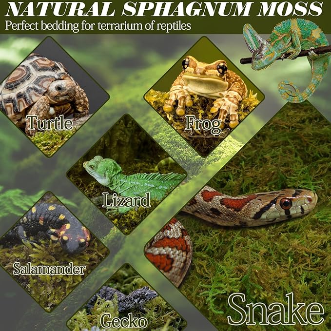 ZeeDix 0.75 lb Sphagnum Moss for Reptiles,20 qt Reptile Bedding Substrate Tank Accessories Terrarium Moss, Green Forest Moss for Leopards Geckos Snakes Turtles Frogs