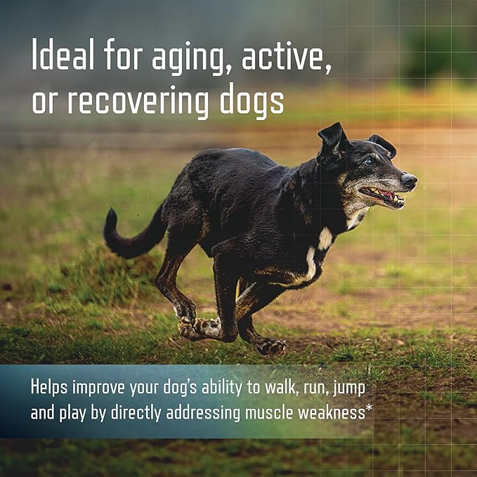 URSOLYX Soft Chews for Dogs | Muscle Health Support for Senior, Active or Recovering Dogs, Medium | 120 Count 4-Month Supply