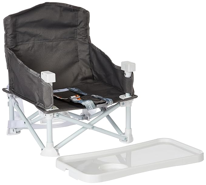 Regalo My Chair 2-in-1 Portable Travel Booster Seat & Activity Chair, Bonus Kit Includes, Oversized Removable Tray with Cup Holder, Gray