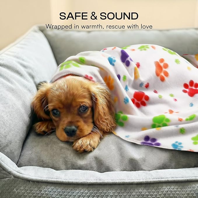 LINENLUX Cute Dog Blanket for Small Medium Dogs 6-Pack Soft Stretchy Fleece Blankets for Pet Cat Puppy Warm Wrinkle-Resistant Throw for Couch Bed Outdoor White 45x31 inch (Pack of 6)