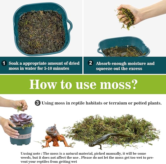 Sukh Sphagnum Moss for Reptiles - Terrarium Reptiles Moss Green Dried Peat Moss Habitat Bedding Moss for Snakes Turtle Frog Gecko and Other Reptiles Substrate (5, Ounces)
