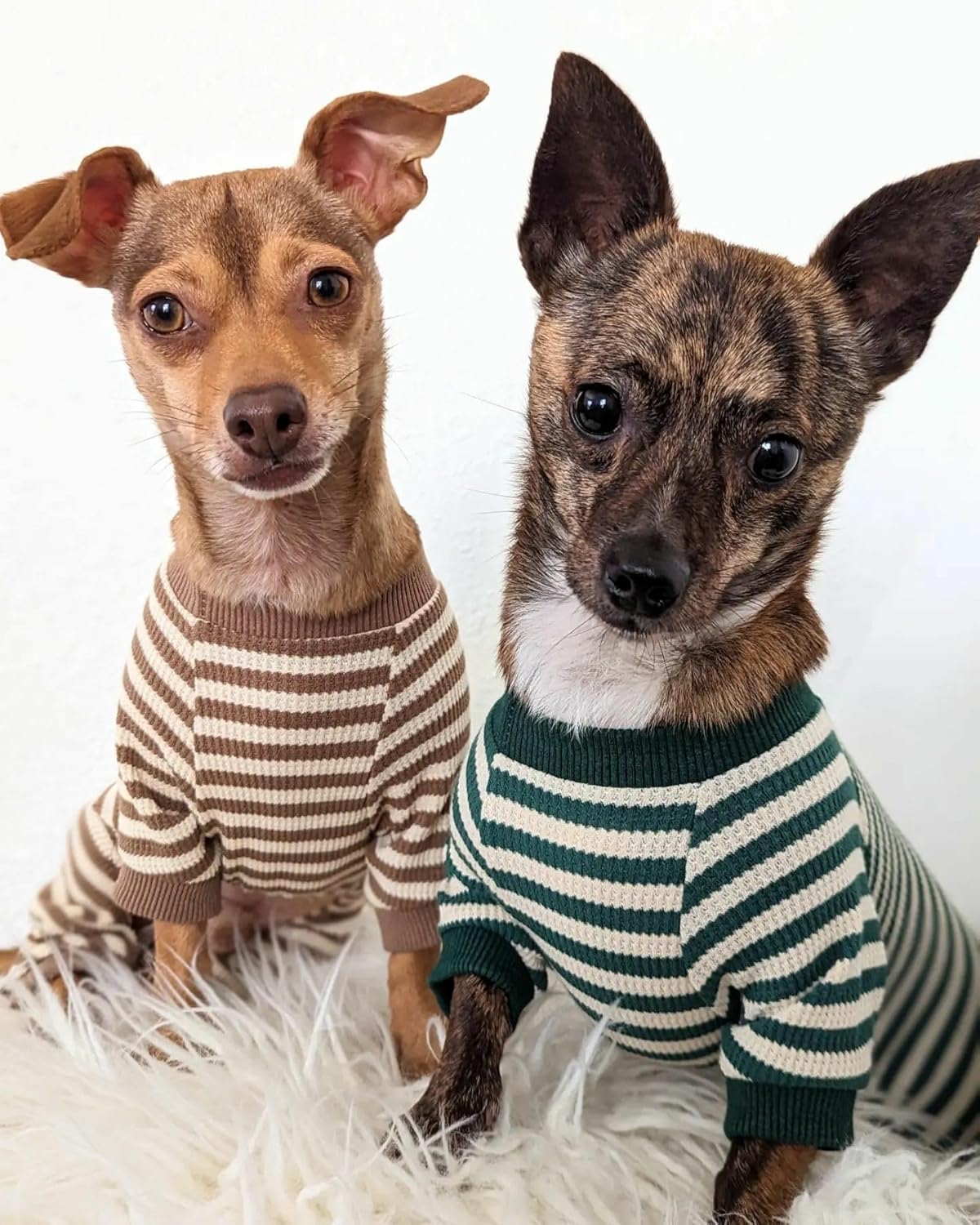 Fitwarm Green and White Striped Dog Pajamas, Waffle Dog Clothes for Small Dogs Girl Boy, Puppy Onesie with Feet, Pet Cat Outfit, XS