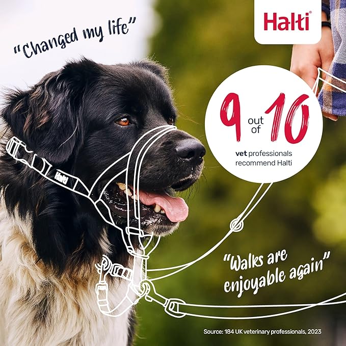 Halti Headcollar - Stop Your Dog Pulling on The Leash. Adjustable, Reflective and Lightweight, with Padded Nose Band. Dog Training Anti-Pull Collar for Small Dogs (Size 1, Desert Sand)