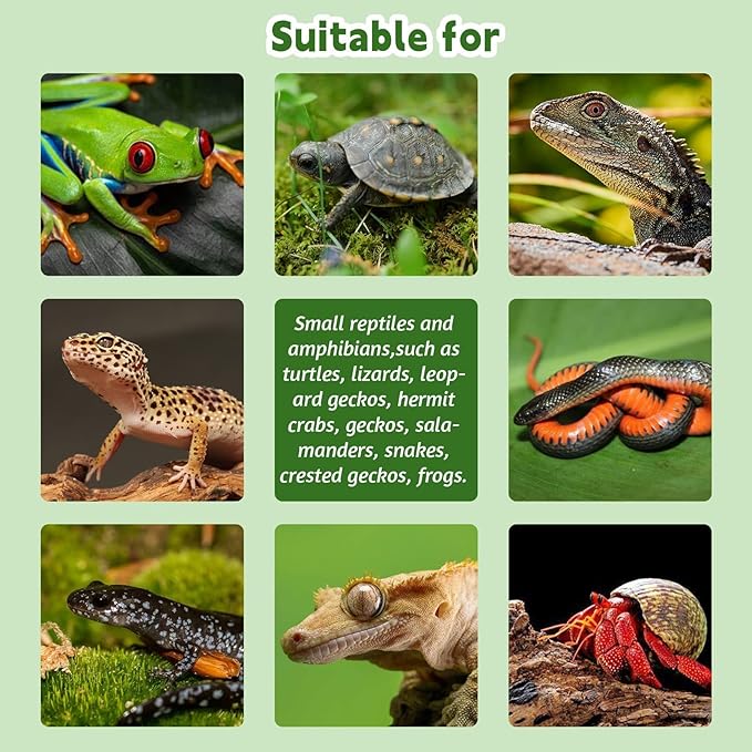 PINVNBY Reptile Water Dish, Crested Gecko Food Dish, Artificial Plants and Moss Reptile Food Water Bowl for Bearded Dragon, Lizards, Geckos, Turtle, Hermit Crab, Snake (with Moss)