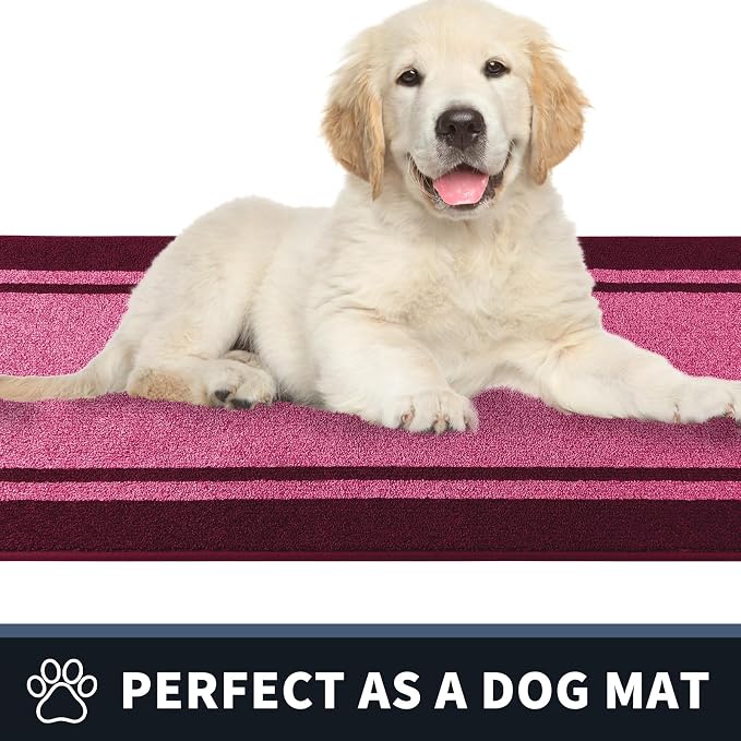 PURRUGS Dirt Trapping Door Mat 24" x 36", Non-Slip Machine Washable Entryway Rug