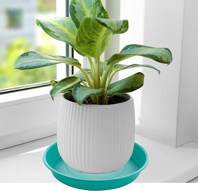 2 Pack of Bird Bath Bowl 12", 1.6" Depth, 10 12 inch Birdbath Bowls Dish Only for The Garden, Large Plant Saucer (12", Teal)