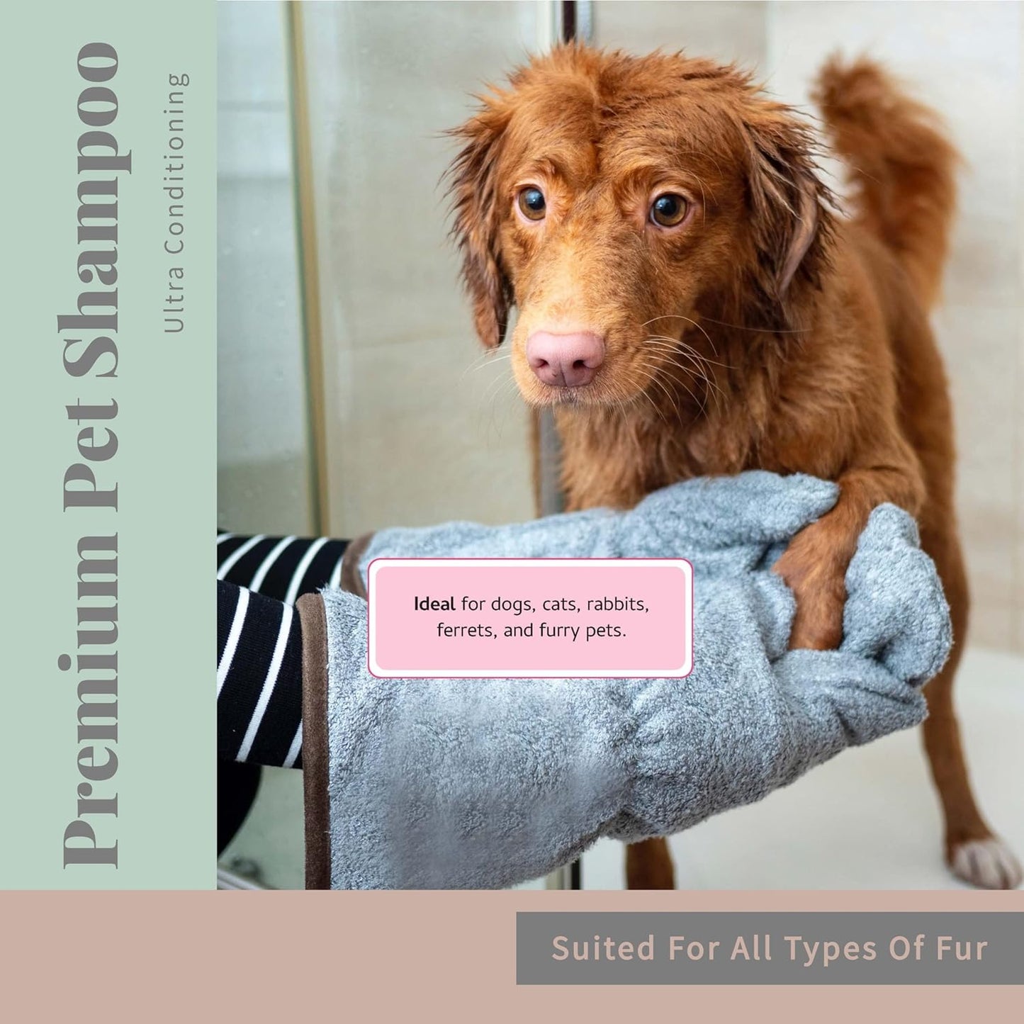 Begley’s No Rinse Waterless Pet Shampoo, Bathless Cleaning, Deodorizing, and Odor Removal for a Shiny, Fresh Smelling Coat - Effective for Dogs, Puppies, and Cats - Fresh Citrus Scent