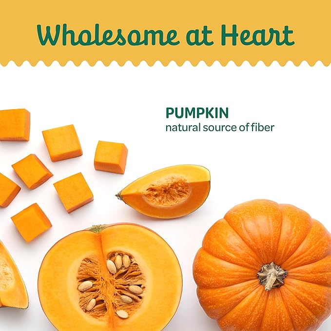 Wholesome Pride Pumpkin Slices Dog Treats – Single Ingredient, Dehydrated, All Natural, 20 oz