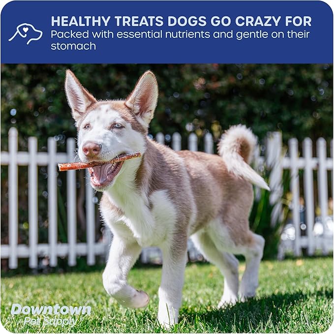 Downtown Pet Supply USA Sourced Bully Sticks for Dogs - Grass-fed Beef Chews, Low-Odor & Rawhide-Free, Long Lasting Dog Treats - Healthy, Safe & Delicious Chews (12" 10 Pack)