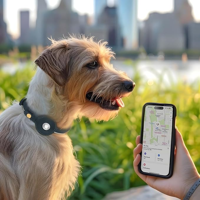 OOPSDOGGY Rolled Leather Dog Collar with Airtag Holder - Reflective Round Airtag Dog Collar - Soft Tracking Pet Collar for Small Dogs Puppy Cats Kitten (Red, S, 10"-13")