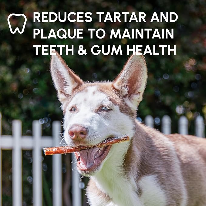 Downtown Pet Supply USA Sourced Bully Sticks for Dogs - Grass-fed Beef Chews, Low-Odor & Rawhide-Free, Long Lasting Dog Treats - Healthy, Safe & Delicious Chews (12" 30 Pack)