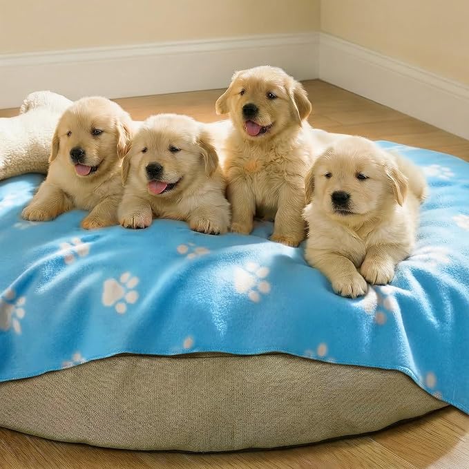 LINENLUX Cute Dog Blanket for Small Medium Dogs 6-Pack Soft Stretchy Fleece Blankets for Pet Cat Puppy Warm Wrinkle-Resistant Throw for Couch Bed Outdoor Light Blue 40x31 inch (Pack of 6)
