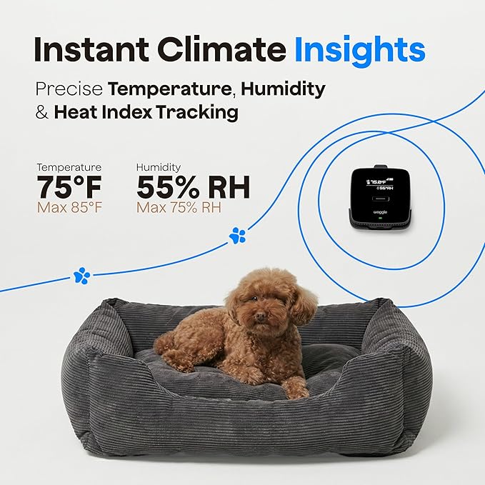 Waggle RV 4G LTE Pet Monitor Lite + 4G Cellular Security Camera - No WiFi? No Problem, Temperature & Humidity Monitor, Real-time Alerts - 2-Way Talk, Night Vision - Supports Varizon, AT&T & T-Mobile