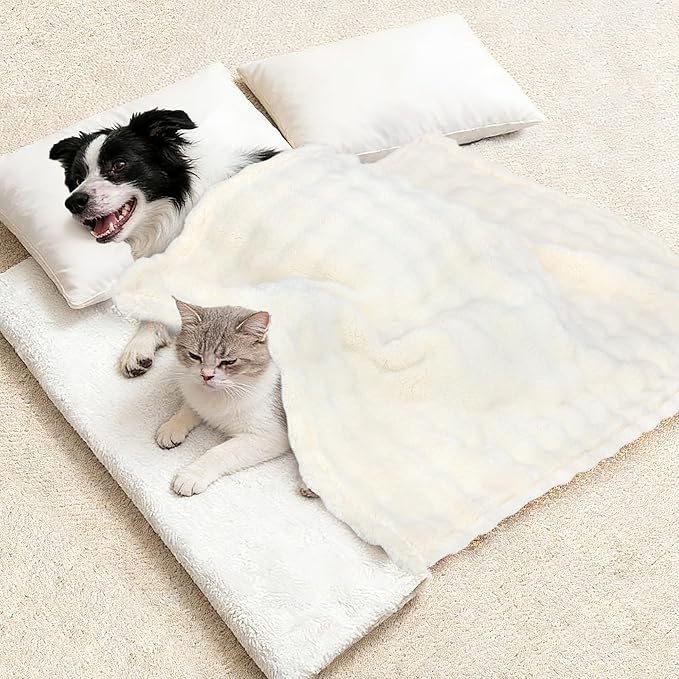 Dog Blankets Washable Pet Blanket - Fluffy Fuzzy Cat Puppy Blanket with Premium 300GSM 3D Fleece Bubble for Pet Kitten Doggy, Cream, 40x60IN