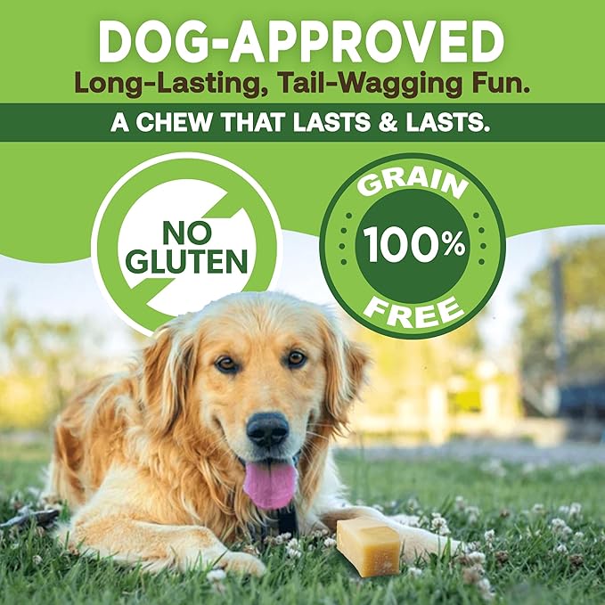 EcoKind Pet Treats Gold Himalayan Yak Cheese Dog Chew, Yak Dog Treats for Active Chewers, 100% Natural & Healthy Chew Sticks for Small & Large Dogs, Small Yak Cheese Sticks (8 Chews)