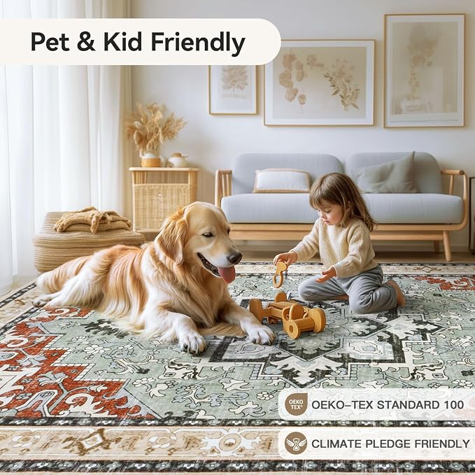 Lofus 5x7 Area Rugs for Living Room and Bedroom, Machine Washable Rug for
