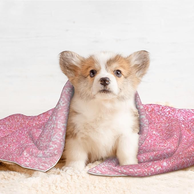 Waterproof Dog Blanket Soft Pet Blanket for Puppy Cat, Fleece Cat Throw Blankets for Furniture Bed Couch Sofa Reversible - Sparkly Glitter