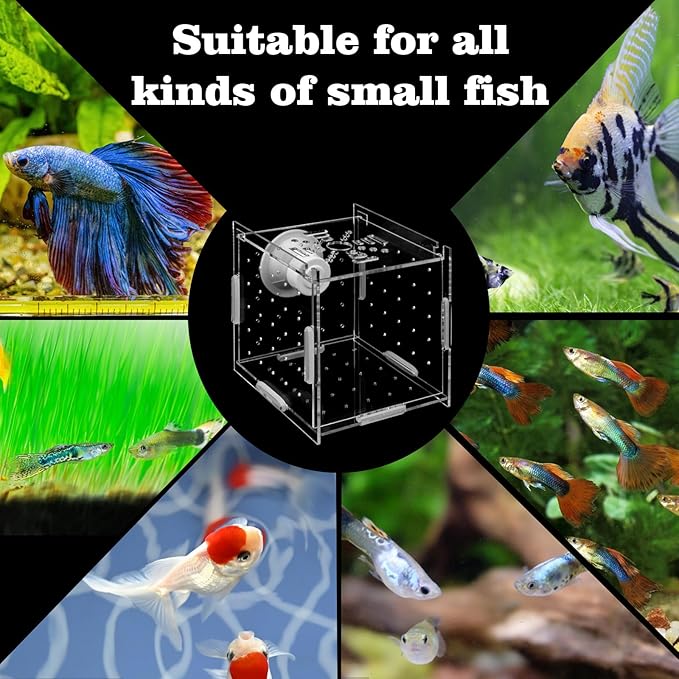 Acrylic Fish breeding Box, Transparent Fish Isolation Box, Fish Separation Box for Aquarium, Hatchery Incubator with Suction for Shrimp Guppy Clownfish Small Fish (3.9 x 3.9 x 3.9Inch)