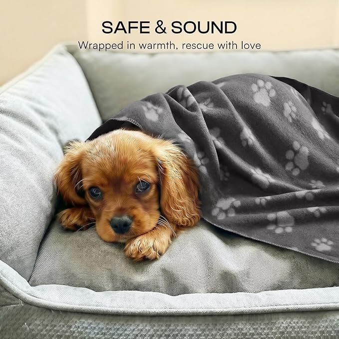 LINENLUX Cute Dog Blanket for Small Medium Dogs 6-Pack Soft Stretchy Fleece Blankets for Pet Cat Puppy Warm Wrinkle-Resistant Throw for Couch Bed Outdoor Grey 31x24 inch (Pack of 6)