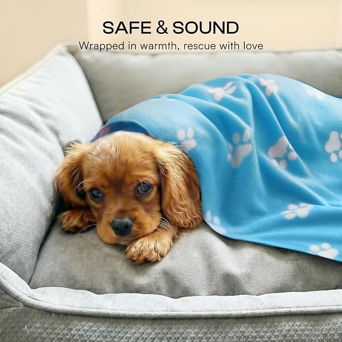 LINENLUX Cute Dog Blanket for Small Medium Dogs 6-Pack Soft Stretchy Fleece Blankets for Pet Cat Puppy Warm Wrinkle-Resistant Throw for Couch Bed Outdoor Light Blue 31x24 inch (Pack of 6)