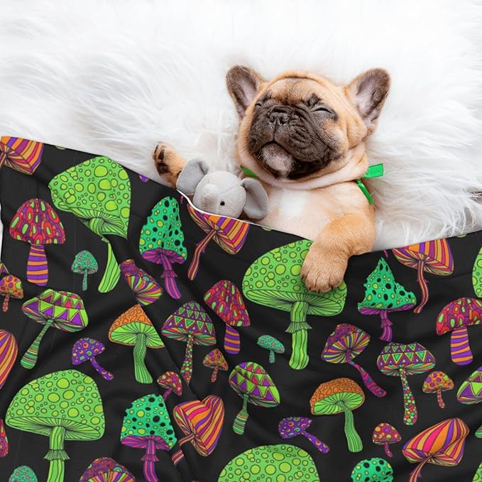 Pet Blanket for Car Rides Vet Visits, Trippy Mushrooms, Two Sided Reversible Plush Design with Bumpy Dot Side Offers Comfort Home Piece On Go Travel
