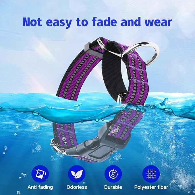 Martingale Dog Collar, Adjustable Nylon Reflective Collar with Quick Release Buckle (Real Purple, Small)