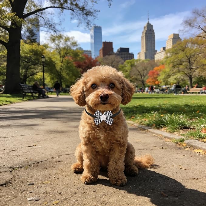 PET SHOW 50 Pack Small Dog Bow Ties Collar Bulk Puppy Cats Boy Girl Bowties Adjustable Neckties Pet Grooming Accessories Assorted Randomly(Daily Style)